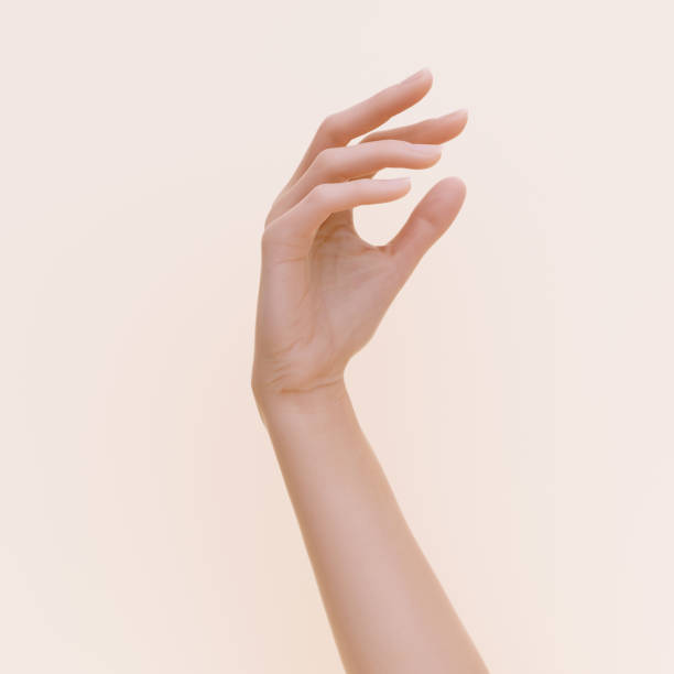 istock Beautiful female hand relaxed gesture, 3d rendering elegant hand. 1402639879