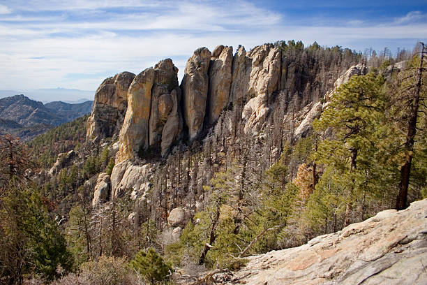 topo do monte lemmon - mt lemmon - fotografias e filmes do acervo