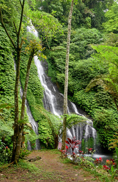 istock Banyu Mala waterfall,at Buleleng regency of Bali,Indonesia 1402640612