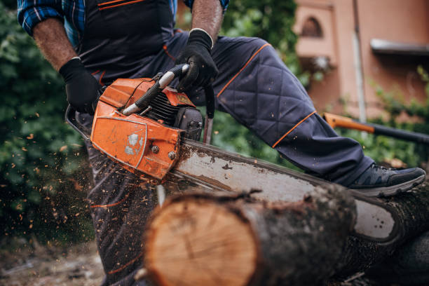 istock A man cuts wood with a chainsaw, prepares firewood 1402643282