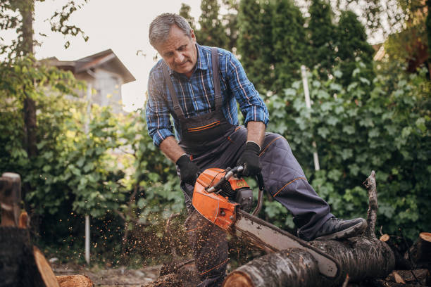 istock An older man cuts wood with a chainsaw 1402643294