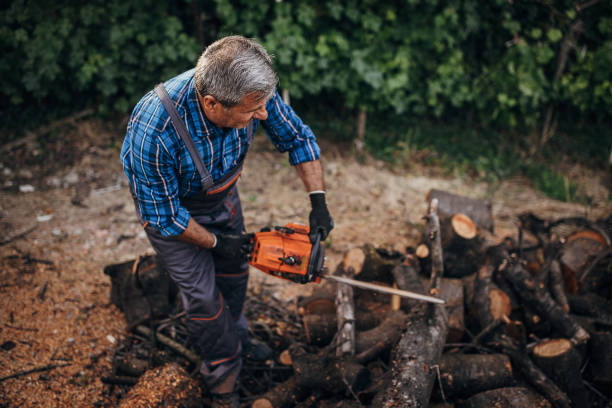 istock An older man cuts wood with a chainsaw 1402643323
