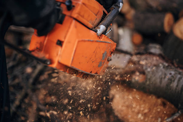istock A man cuts wood with a chainsaw, prepares firewood 1402643380