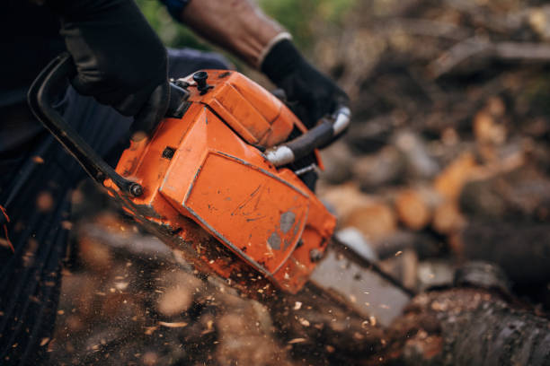 istock A man cuts wood with a chainsaw, prepares firewood 1402643383