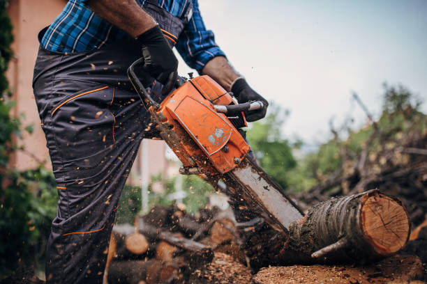 istock A man cuts wood with a chainsaw, prepares firewood 1402643406