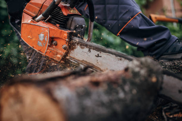 istock A man cuts wood with a chainsaw, prepares firewood 1402643439