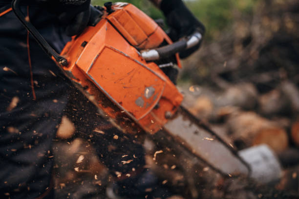 istock A man cuts wood with a chainsaw, prepares firewood 1402643444