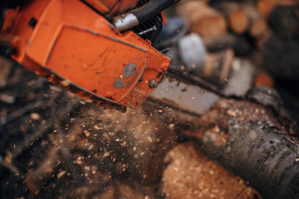 istock A man cuts wood with a chainsaw, prepares firewood 1402643481