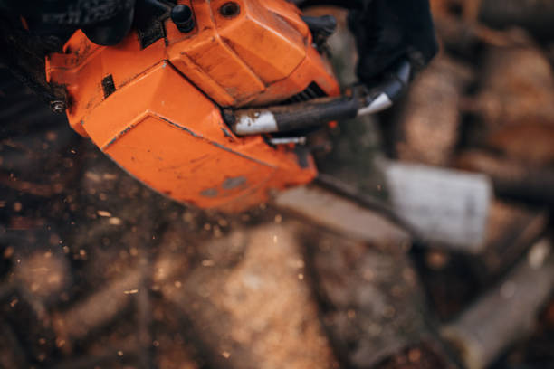 istock A man cuts wood with a chainsaw, prepares firewood 1402643482