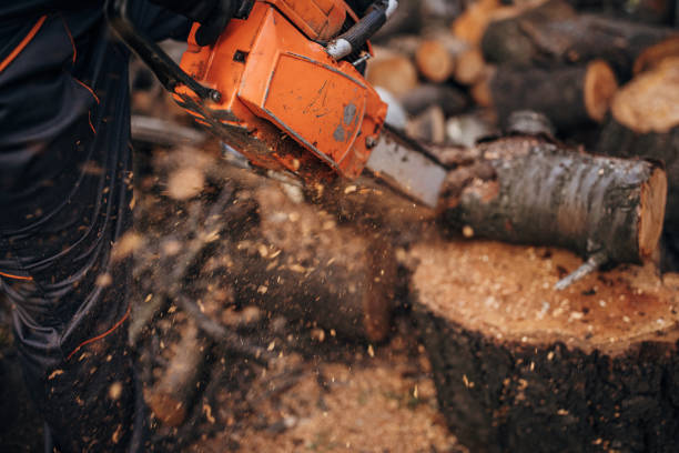istock A man cuts wood with a chainsaw, prepares firewood 1402643524