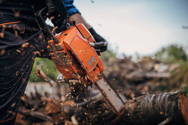 istock A man cuts wood with a chainsaw, prepares firewood 1402643583