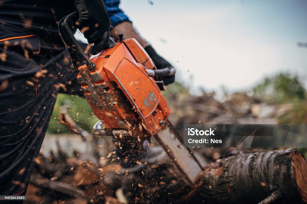A man cuts wood with a chainsaw, prepares firewood Lumberjack Stock Photo