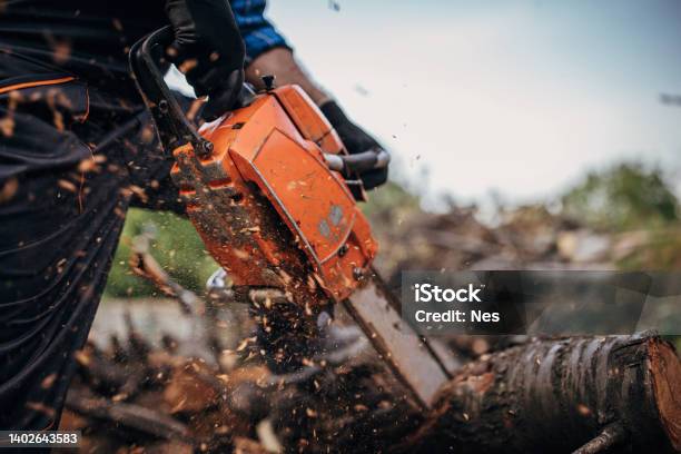 A Man Cuts Wood With A Chainsaw Prepares Firewood Stock Photo - Download Image Now - Lumberjack, Close-up, Chainsaw