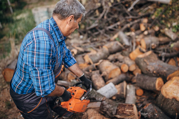 istock An older man cuts wood with a chainsaw 1402643585