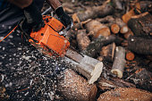 A man cuts wood with a chainsaw, prepares firewood