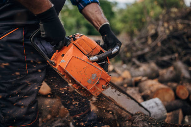istock A man cuts wood with a chainsaw, prepares firewood 1402643655