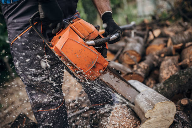 istock A man cuts wood with a chainsaw, prepares firewood 1402643701