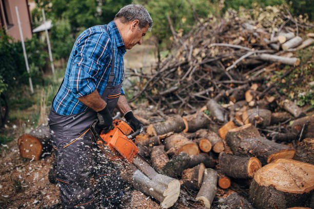 istock An older man cuts wood with a chainsaw 1402643754