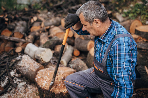 istock Tired lumberjack with an ax 1402643913