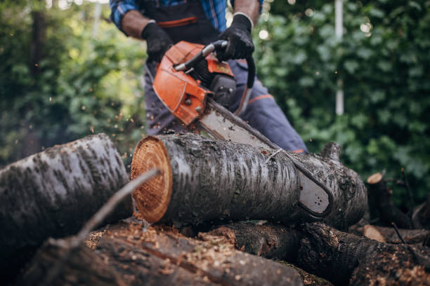 istock A man cuts wood with a chainsaw, prepares firewood 1402645244