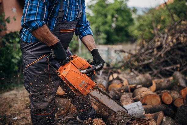 istock A man cuts wood with a chainsaw, prepares firewood 1402645310