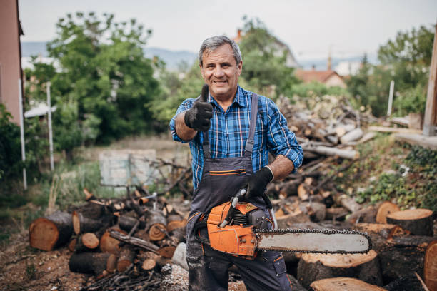 istock Portrait of a man with a chainsaw 1402645328