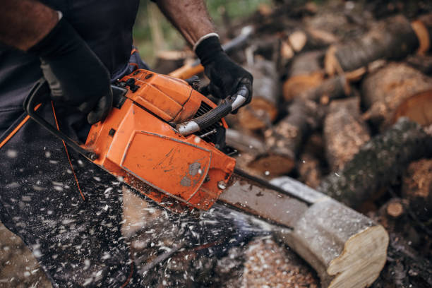 istock A man cuts wood with a chainsaw, prepares firewood 1402645363