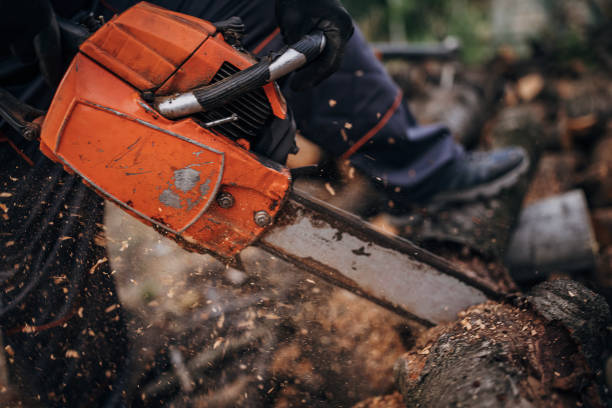 istock A man cuts wood with a chainsaw, prepares firewood 1402645405