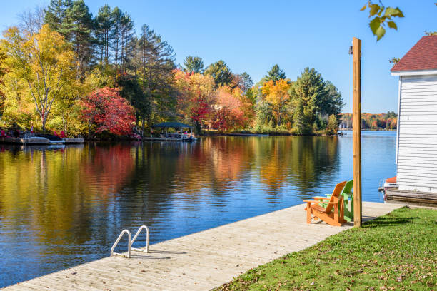 istock Empty boardwalk on a river with wooded banks on a sunny autumn day 1402647123