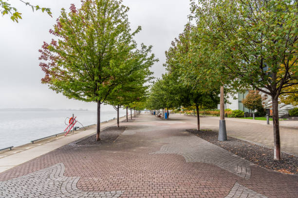 istock Empty lakeside cobbled footpath lined with trees on a foggy autumn day 1402647134