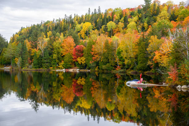 Adirondack chairs on a jetty on a lake surrounded by thick forest in autumn