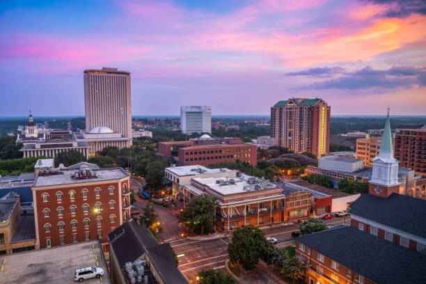 istock Tallahassee, Florida, USA Downtown Skyline 1402648054