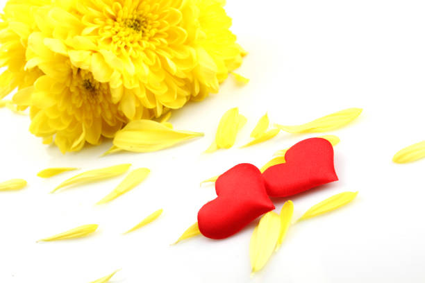 Red paper hearts on the ground