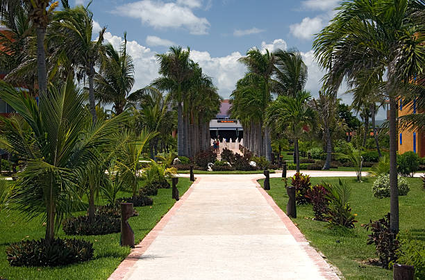 istock mexico resort trail from ocean 140265012