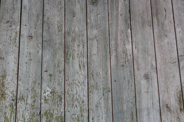 istock wood texture natural, plywood texture background surface with old natural pattern, Natural oak texture with beautiful wooden grain, Walnut wood, wooden planks background. bark wood 1402650217
