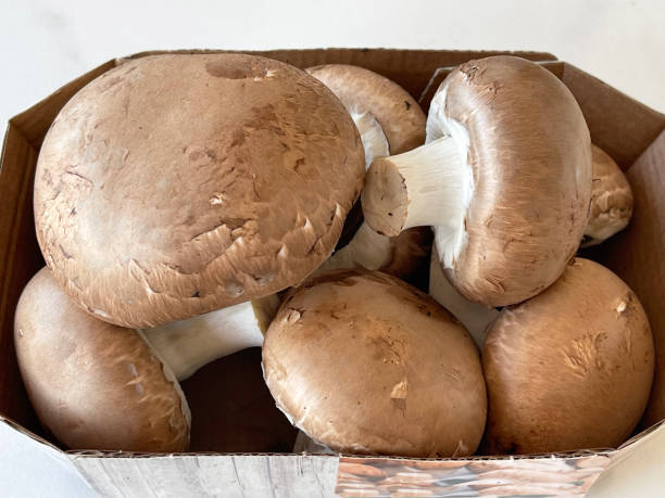 istock fresh mushrooms, champignon, in box 1402651098