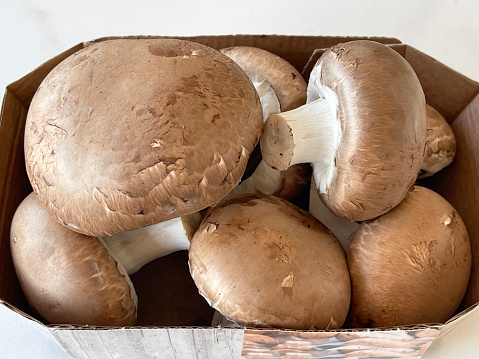 close-up of fresh mushrooms, champignons, in box