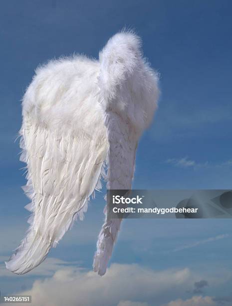 Heavenly Wings Stock Photo - Download Image Now - Angel, Animal Body Part, Animal Wing