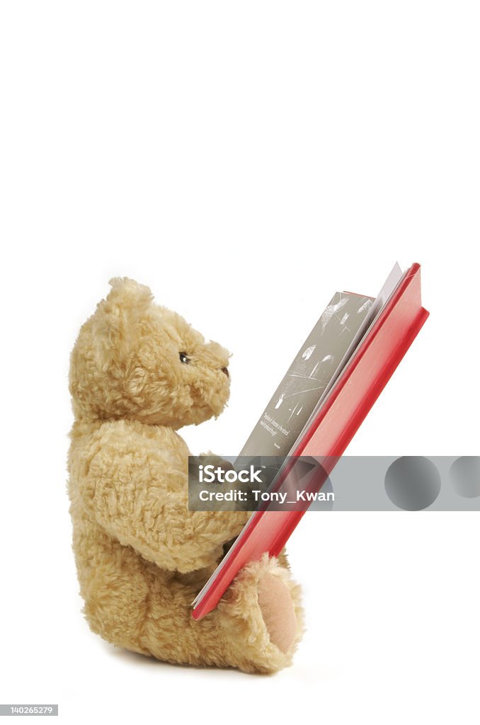 Teddy ler um grande livro vermelho - Royalty-free Livro Ilustrado Foto de stock