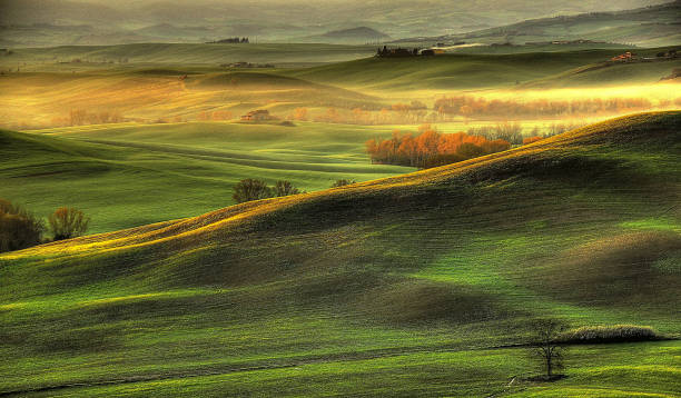 istock Beautiful Montepulciano,Italy pictures 1402653739