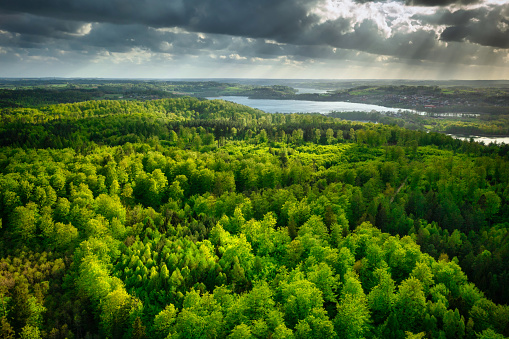 Beautiful landscape of Kashubian forests and lakes on a sunny day, Poland
