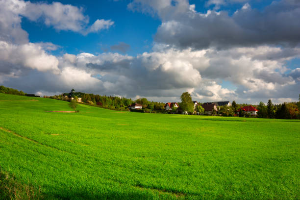 istock Idyllic summer meadow at sunny day in Poland 1402655416