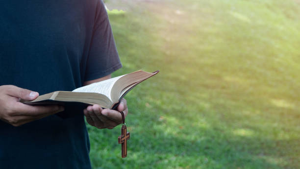 man reading bible in the morning on nature background. concept for faith, spirituality and religion. - praying human hand worshipper wood imagens e fotografias de stock