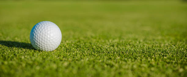 istock Golf Course with a Ball Tournament Banner Background 1402656756