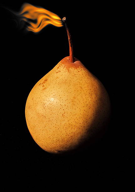 pear stock photo