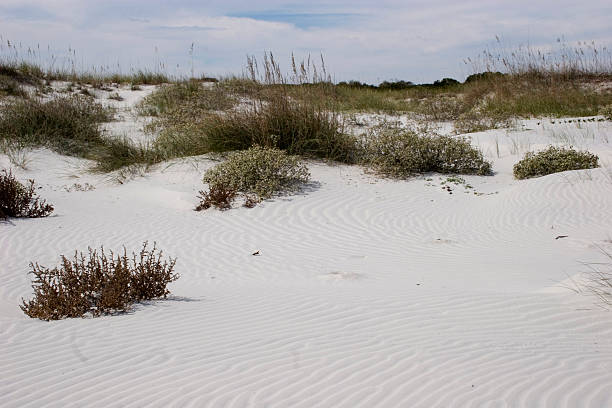 dunas de areia como natureza visa - beach cumberland island environment tranquil scene - fotografias e filmes do acervo