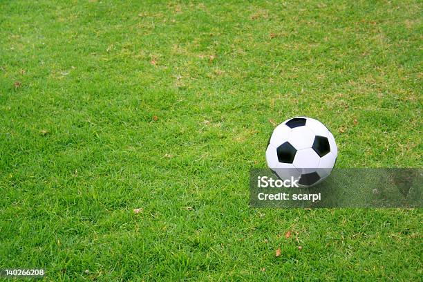 Футбольный Мяч На Траве — стоковые фотографии и другие картинки Белый - Белый, Весна, Горизонтальный
