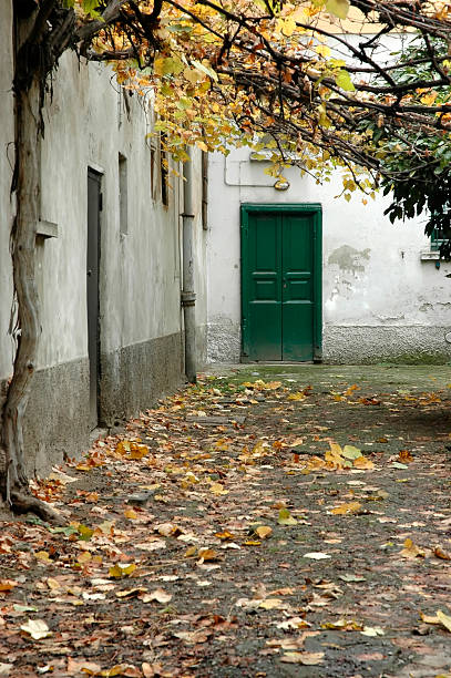 istock Autumn, green door 140266388