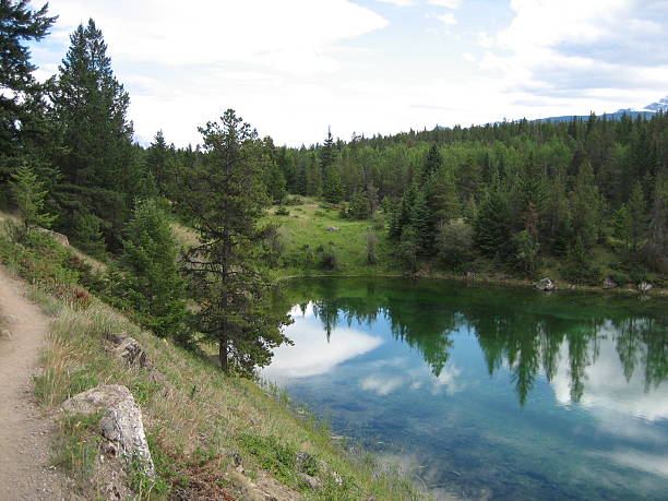 Valley of the Five Lakes, Jasper National Park stock photo