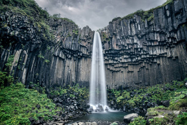 scenic svartifoss waterfall in summer, iceland - skaftafell national park stockfoto's en -beelden